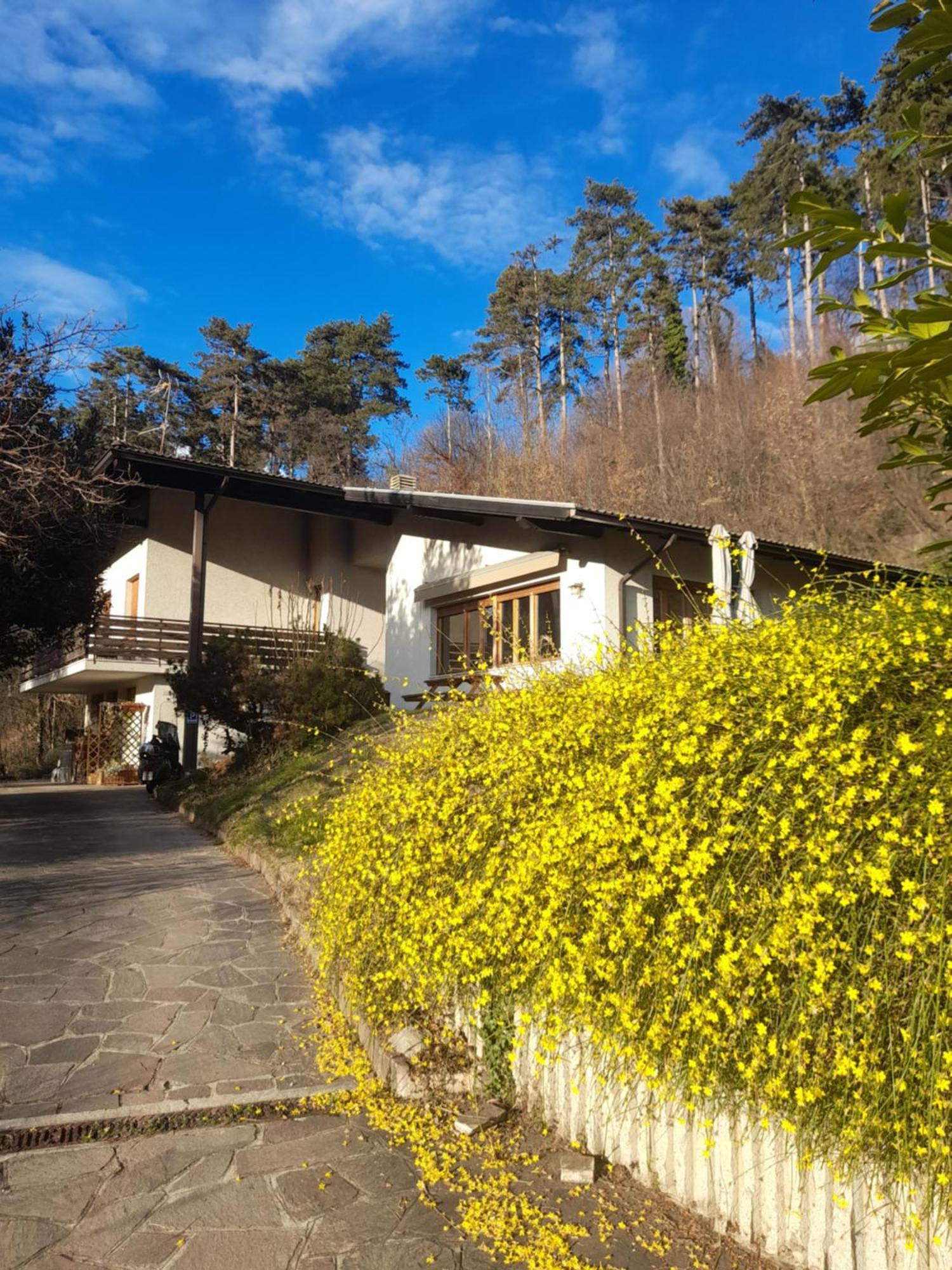 Marzola Trento Exterior foto